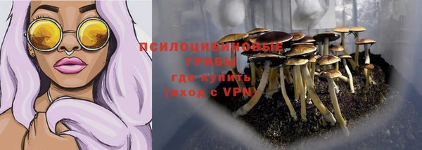 стафф Алзамай