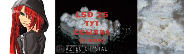 стафф Алзамай