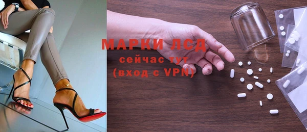 стафф Алзамай